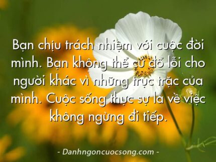 Bạn chịu trách nhiệm với cuộc đời mình. Bạn không thể cứ đổ lỗi cho người khác vì những trục trặc của mình. Cuộc sống thực sự là về việc không ngừng đi tiếp.