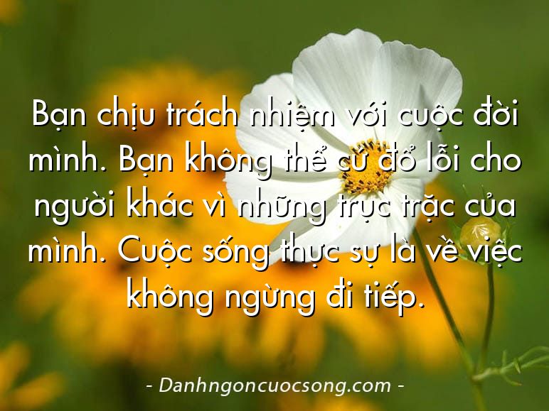 Bạn chịu trách nhiệm với cuộc đời mình. Bạn không thể cứ đổ lỗi cho người khác vì những trục trặc của mình. Cuộc sống thực sự là về việc không ngừng đi tiếp.