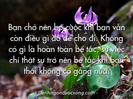 Bạn chớ nên bỏ cuộc khi bạn vẫn còn điều gì đó để cho đi. Không có gì là hoàn toàn bế tắc, sự việc chỉ thật sự trở nên bế tắc khi bạn thôi không cố gắng nữa.