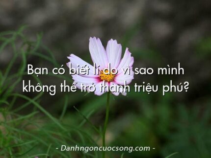Bạn có biết lí do vì sao mình không thể trở thành triệu phú?