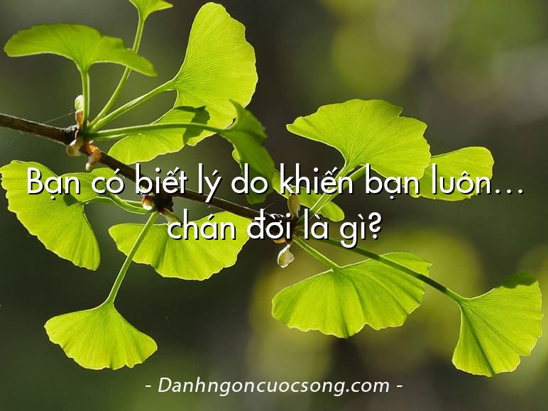 Bạn có biết lý do khiến bạn luôn… chán đời là gì?