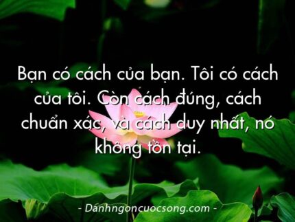 Bạn có cách của bạn. Tôi có cách của tôi. Còn cách đúng, cách chuẩn xác, và cách duy nhất, nó không tồn tại.