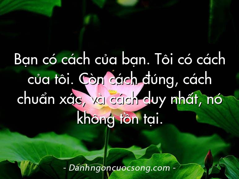 Bạn có cách của bạn. Tôi có cách của tôi. Còn cách đúng, cách chuẩn xác, và cách duy nhất, nó không tồn tại.