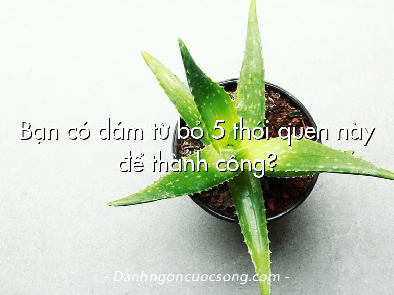 Bạn có dám từ bỏ 5 thói quen này để thành công?
