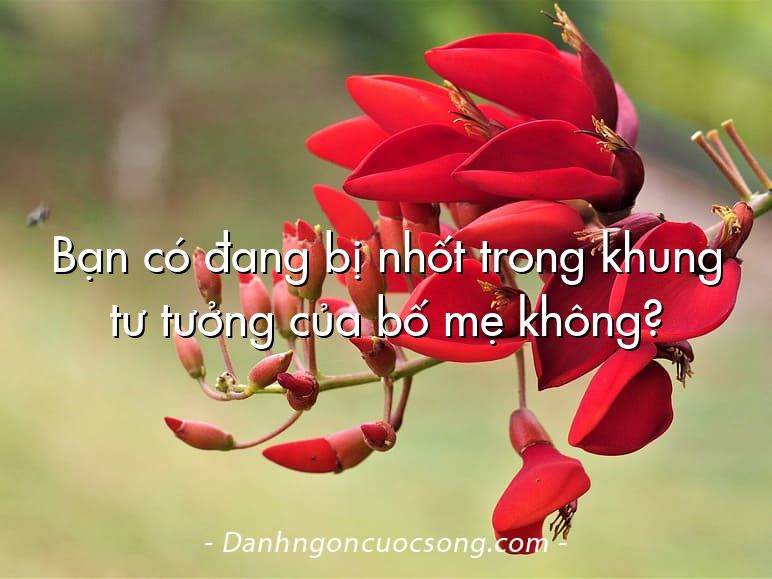 Bạn có đang bị nhốt trong khung tư tưởng của bố mẹ không?