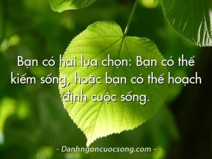 Bạn có hai lựa chọn: Bạn có thể kiếm sống, hoặc bạn có thể hoạch định cuộc sống.