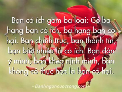 Bạn có ích gồm ba loại: Có ba hạng bạn có ích, ba hạng bạn có hại. Bạn chính trực, bạn thành tín, bạn biết nhiều là có ích. Bạn đón ý mình, bạn khéo nịnh mình, bạn không có thực học là bạn có hại.