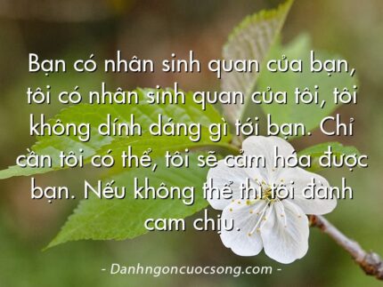 Bạn có nhân sinh quan của bạn, tôi có nhân sinh quan của tôi, tôi không dính dáng gì tới bạn. Chỉ cần tôi có thể, tôi sẽ cảm hóa được bạn. Nếu không thể thì tôi đành cam chịu.