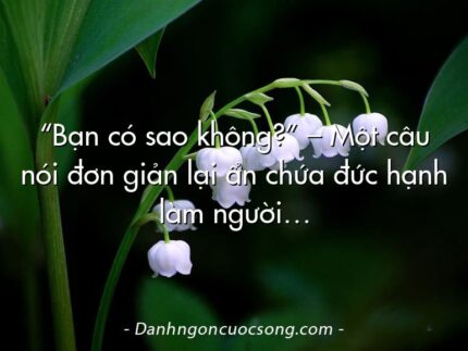 “Bạn có sao không?” – Một câu nói đơn giản lại ẩn chứa đức hạnh làm người…
