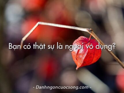 Bạn có thật sự là người vô dụng?