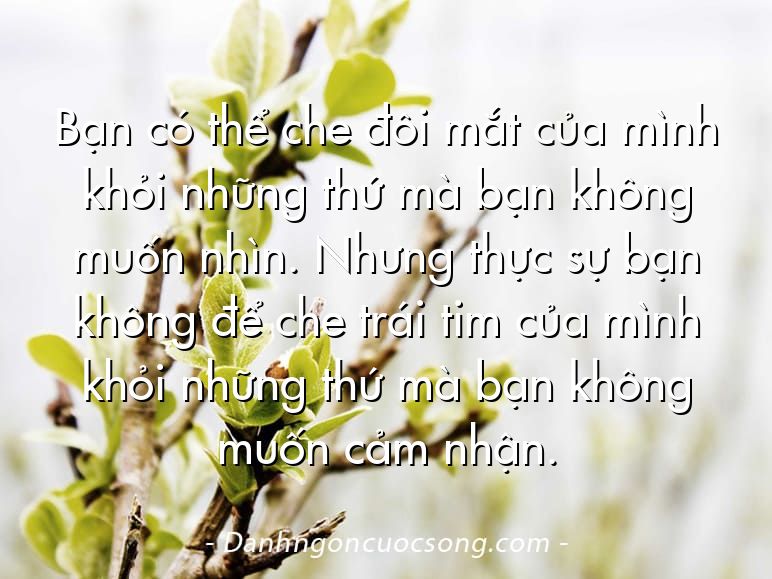 Bạn có thể che đôi mắt của mình khỏi những thứ mà bạn không muốn nhìn. Nhưng thực sự bạn không để che trái tim của mình khỏi những thứ mà bạn không muốn cảm nhận.