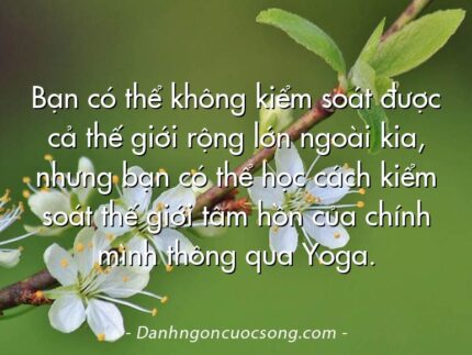 Bạn có thể không kiểm soát được cả thế giới rộng lớn ngoài kia, nhưng bạn có thể học cách kiểm soát thế giới tâm hồn của chính mình thông qua Yoga.
