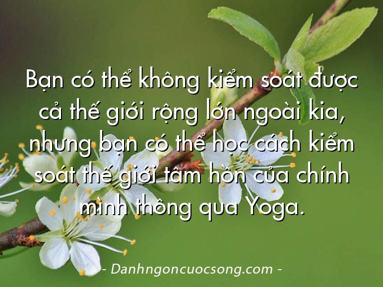 Bạn có thể không kiểm soát được cả thế giới rộng lớn ngoài kia, nhưng bạn có thể học cách kiểm soát thế giới tâm hồn của chính mình thông qua Yoga.