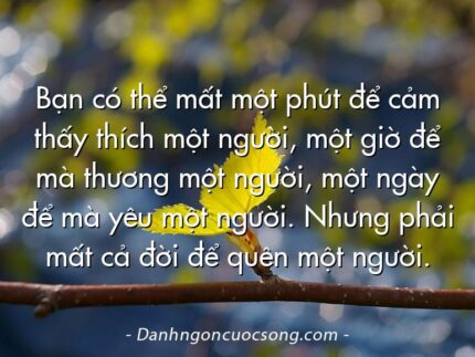 Bạn có thể mất một phút để cảm thấy thích một người, một giờ để mà thương một người, một ngày để mà yêu một người. Nhưng phải mất cả đời để quên một người.
