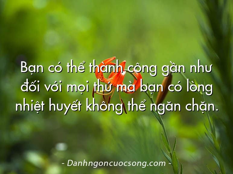 Bạn có thể thành công gần như đối với mọi thứ mà bạn có lòng nhiệt huyết không thể ngăn chặn.