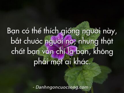 Bạn có thể thích giống người này, bắt chước người nọ, nhưng thật chất bạn vẫn chỉ là bạn, không phải một ai khác.