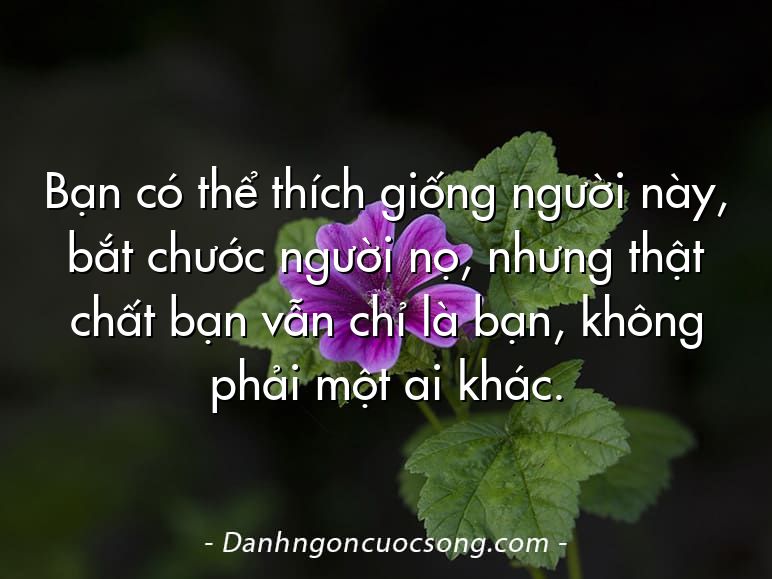 Bạn có thể thích giống người này, bắt chước người nọ, nhưng thật chất bạn vẫn chỉ là bạn, không phải một ai khác.