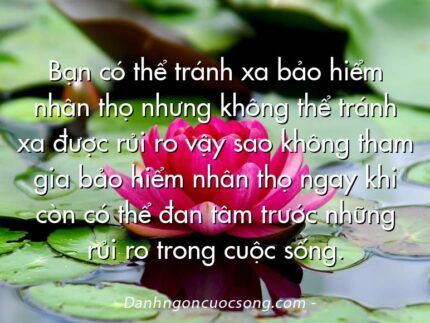 Bạn có thể tránh xa bảo hiểm nhân thọ nhưng không thể tránh xa được rủi ro vậy sao không tham gia bảo hiểm nhân thọ ngay khi còn có thể đan tâm trước những rủi ro trong cuộc sống.