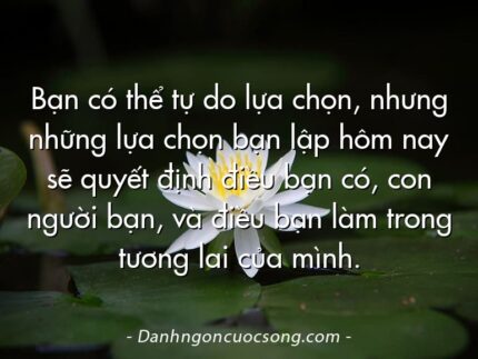 Bạn có thể tự do lựa chọn, nhưng những lựa chọn bạn lập hôm nay sẽ quyết định điều bạn có, con người bạn, và điều bạn làm trong tương lai của mình.