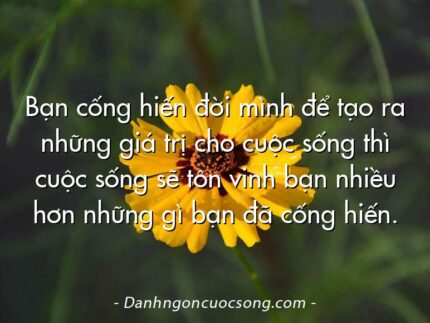 Bạn cống hiến đời mình để tạo ra những giá trị cho cuộc sống thì cuộc sống sẽ tôn vinh bạn nhiều hơn những gì bạn đã cống hiến.