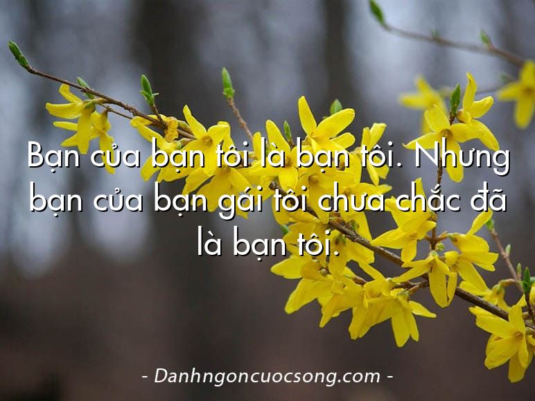 Bạn của bạn tôi là bạn tôi. Nhưng bạn của bạn gái tôi chưa chắc đã là bạn tôi.