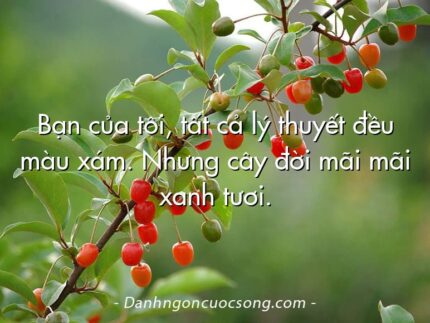 Bạn của tôi, tất cả lý thuyết đều màu xám. Nhưng cây đời mãi mãi xanh tươi.