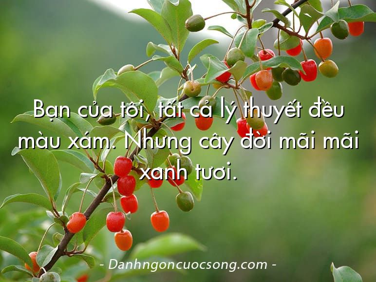 Bạn của tôi, tất cả lý thuyết đều màu xám. Nhưng cây đời mãi mãi xanh tươi.