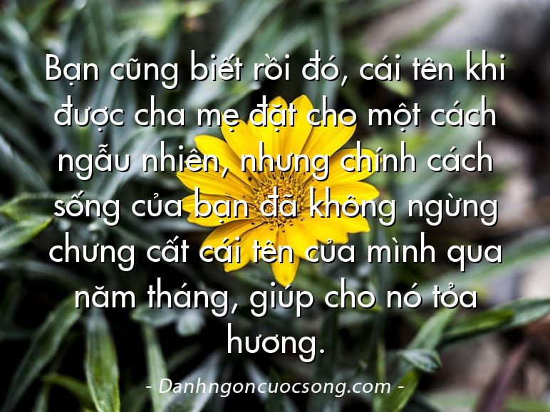 Bạn cũng biết rồi đó, cái tên khi được cha mẹ đặt cho một cách ngẫu nhiên, nhưng chính cách sống của bạn đã không ngừng chưng cất cái tên của mình qua năm tháng, giúp cho nó tỏa hương.