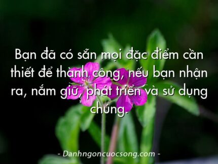 Bạn đã có sẵn mọi đặc điểm cần thiết để thành công, nếu bạn nhận ra, nắm giữ, phát triển và sử dụng chúng.