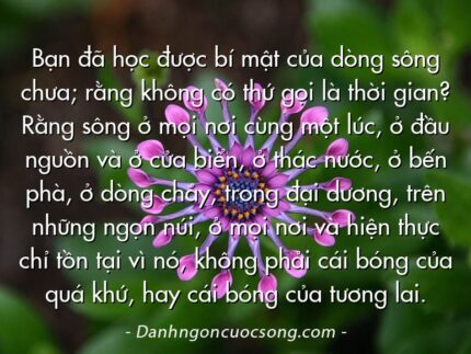 Bạn đã học được bí mật của dòng sông chưa; rằng không có thứ gọi là thời gian? Rằng sông ở mọi nơi cùng một lúc, ở đầu nguồn và ở cửa biển, ở thác nước, ở bến phà, ở dòng chảy, trong đại dương, trên những ngọn núi, ở mọi nơi và hiện thực chỉ tồn tại vì nó, không phải cái bóng của quá khứ, hay cái bóng của tương lai.