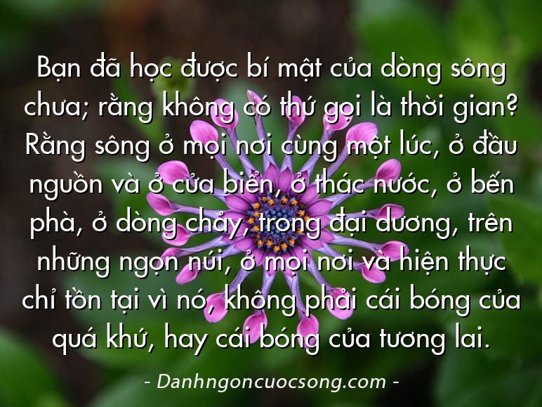 Bạn đã học được bí mật của dòng sông chưa; rằng không có thứ gọi là thời gian? Rằng sông ở mọi nơi cùng một lúc, ở đầu nguồn và ở cửa biển, ở thác nước, ở bến phà, ở dòng chảy, trong đại dương, trên những ngọn núi, ở mọi nơi và hiện thực chỉ tồn tại vì nó, không phải cái bóng của quá khứ, hay cái bóng của tương lai.