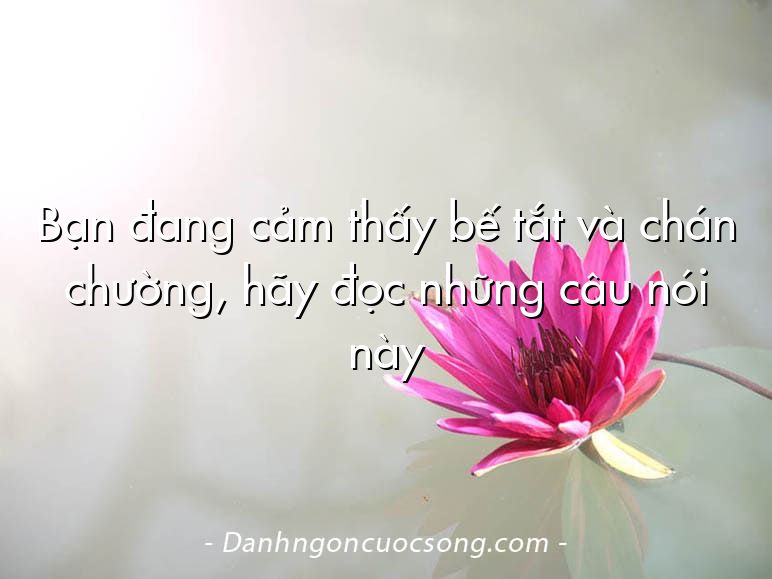 Bạn đang cảm thấy bế tắt và chán chường, hãy đọc những câu nói này