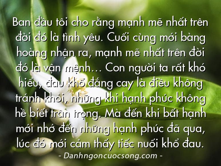 Ban đầu tôi cho rằng mạnh mẽ nhất trên đời đó là tình yêu. Cuối cùng mới bàng hoàng nhận ra, mạnh mẽ nhất trên đời đó là vận mệnh… Con người ta rất khó hiểu, đau khổ đắng cay là điều không tránh khỏi, những khi hạnh phúc không hề biết trân trọng. Mà đến khi bất hạnh mới nhớ đến những hạnh phúc đã qua, lúc đó mới cảm thấy tiếc nuối khổ đau.