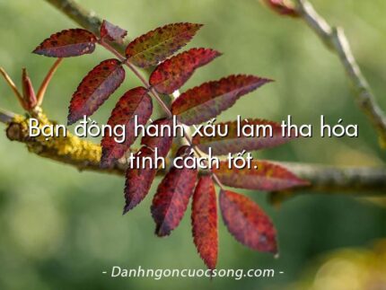 Bạn đồng hành xấu làm tha hóa tính cách tốt.