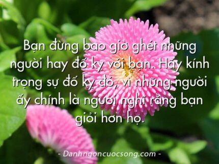 Bạn đừng bao giờ ghét những người hay đố kỵ với bạn. Hãy kính trọng sự đố kỵ đó, vì những người ấy chính là người nghĩ rằng bạn giỏi hơn họ.