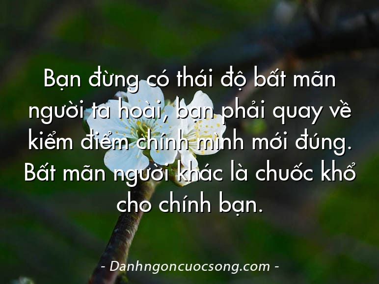 Bạn đừng có thái độ bất mãn người ta hoài, bạn phải quay về kiểm điểm chính mình mới đúng. Bất mãn người khác là chuốc khổ cho chính bạn.
