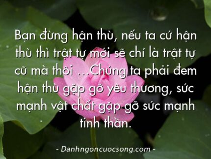 Bạn đừng hận thù, nếu ta cứ hận thù thì trật tự mới sẽ chỉ là trật tự cũ mà thôi …Chúng ta phải đem hận thù gặp gỡ yêu thương, sức mạnh vật chất gặp gỡ sức mạnh tinh thần.
