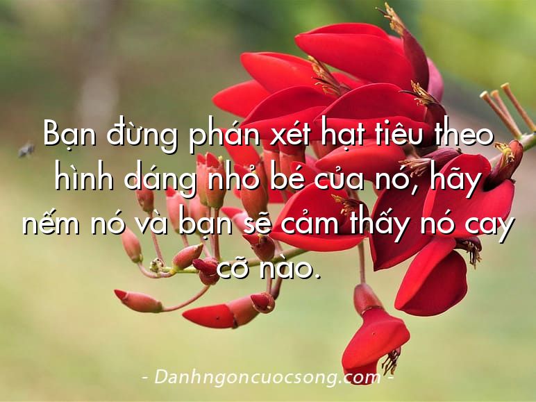 Bạn đừng phán xét hạt tiêu theo hình dáng nhỏ bé của nó, hãy nếm nó và bạn sẽ cảm thấy nó cay cỡ nào.