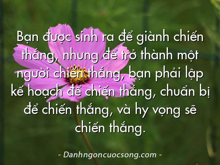 Bạn được sinh ra để giành chiến thắng, nhưng để trở thành một người chiến thắng, bạn phải lập kế hoạch để chiến thắng, chuẩn bị để chiến thắng, và hy vọng sẽ chiến thắng.