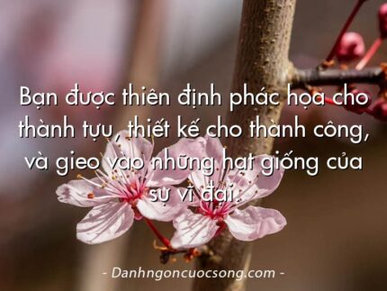 Bạn được thiên định phác họa cho thành tựu, thiết kế cho thành công, và gieo vào những hạt giống của sự vĩ đại.