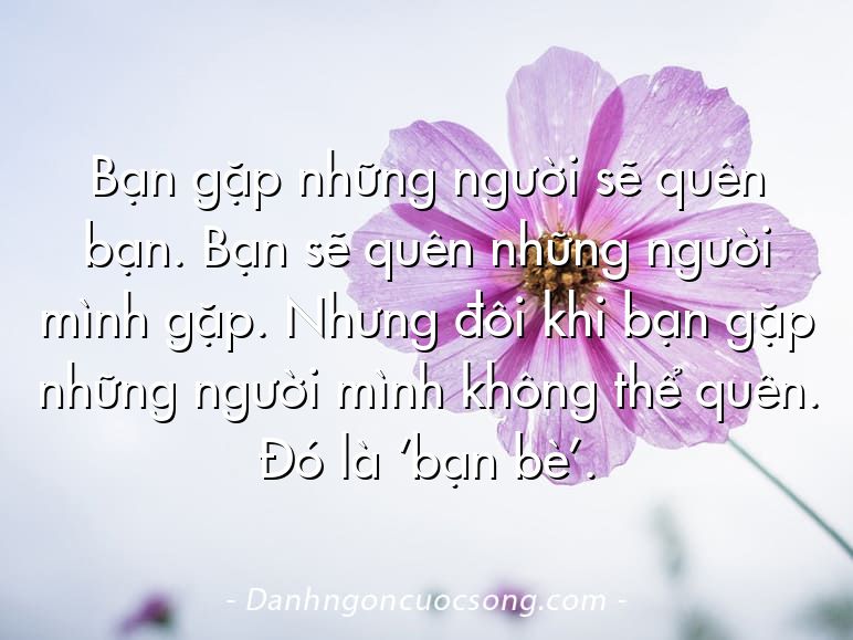 Bạn gặp những người sẽ quên bạn. Bạn sẽ quên những người mình gặp. Nhưng đôi khi bạn gặp những người mình không thể quên. Đó là ‘bạn bè’.