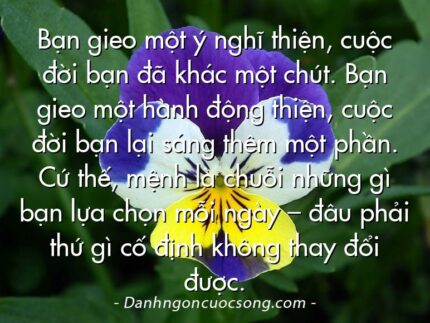 Bạn gieo một ý nghĩ thiện, cuộc đời bạn đã khác một chút. Bạn gieo một hành động thiện, cuộc đời bạn lại sáng thêm một phần. Cứ thế, mệnh là chuỗi những gì bạn lựa chọn mỗi ngày – đâu phải thứ gì cố định không thay đổi được.