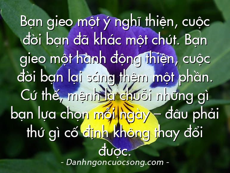 Bạn gieo một ý nghĩ thiện, cuộc đời bạn đã khác một chút. Bạn gieo một hành động thiện, cuộc đời bạn lại sáng thêm một phần. Cứ thế, mệnh là chuỗi những gì bạn lựa chọn mỗi ngày – đâu phải thứ gì cố định không thay đổi được.