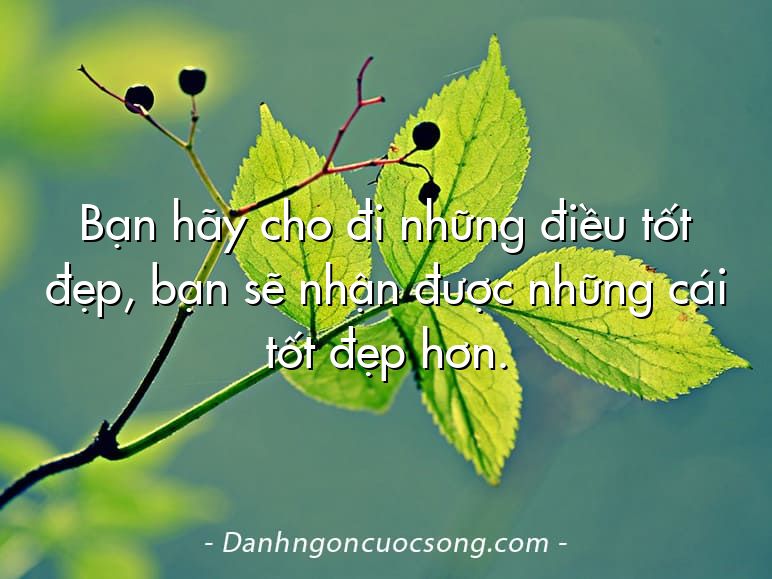 Bạn hãy cho đi những điều tốt đẹp, bạn sẽ nhận được những cái tốt đẹp hơn.