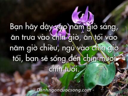 Bạn hãy dậy vào năm giờ sáng, ăn trưa vào chín giờ, ăn tối vào năm giờ chiều, ngủ vào chín giờ tối, bạn sẽ sống đến chín mươi chín tuổi.
