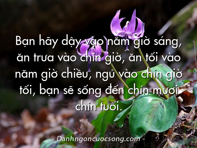 Bạn hãy dậy vào năm giờ sáng, ăn trưa vào chín giờ, ăn tối vào năm giờ chiều, ngủ vào chín giờ tối, bạn sẽ sống đến chín mươi chín tuổi.