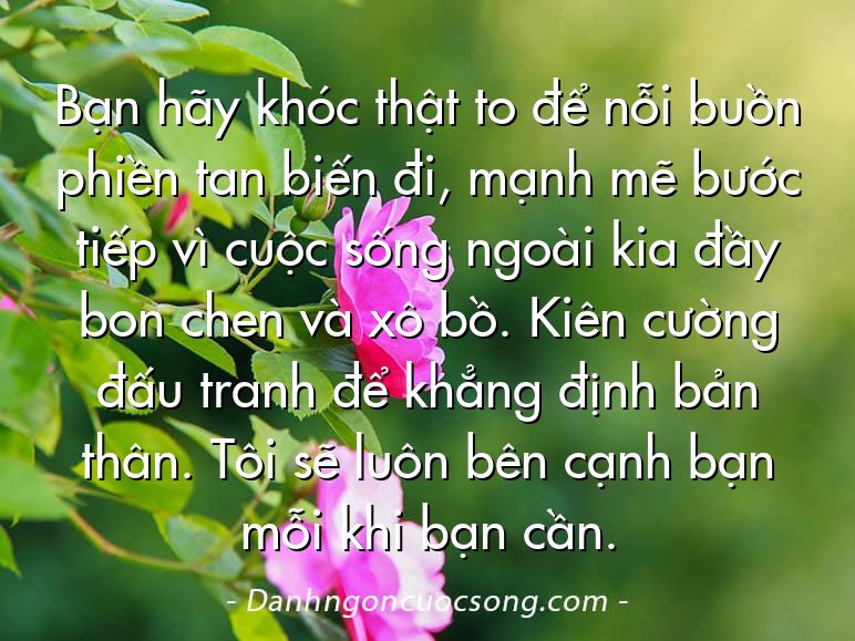 Bạn hãy khóc thật to để nỗi buồn phiền tan biến đi, mạnh mẽ bước tiếp vì cuộc sống ngoài kia đầy bon chen và xô bồ. Kiên cường đấu tranh để khẳng định bản thân. Tôi sẽ luôn bên cạnh bạn mỗi khi bạn cần.