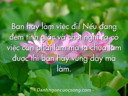 Bạn hãy làm việc đi! Nếu đang đêm tỉnh giấc và chợt nghĩ ra có việc cần phải làm mà ta chưa làm được thì bạn hãy vùng dậy mà làm.