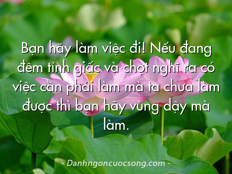 Bạn hãy làm việc đi! Nếu đang đêm tỉnh giấc và chợt nghĩ ra có việc cần phải làm mà ta chưa làm được thì bạn hãy vùng dậy mà làm.