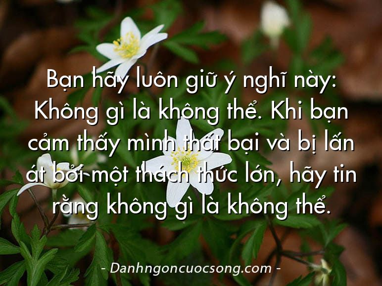 Bạn hãy luôn giữ ý nghĩ này: Không gì là không thể. Khi bạn cảm thấy mình thất bại và bị lấn át bởi một thách thức lớn, hãy tin rằng không gì là không thể.